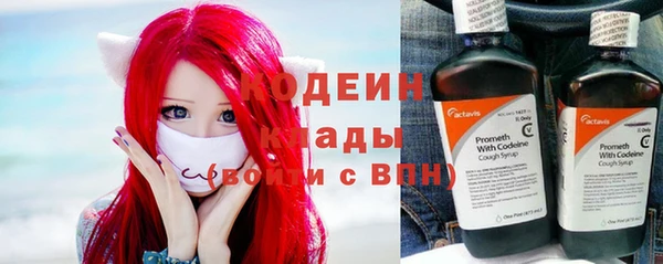 мет Инсар