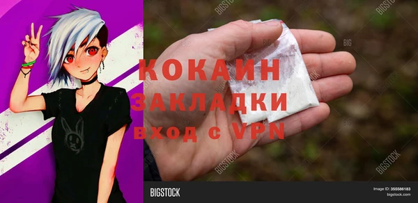 мет Инсар