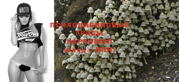круглые Инта