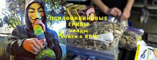 мяу мяу кристалл Иннополис