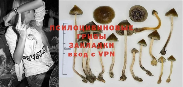 мяу мяу кристалл Иннополис