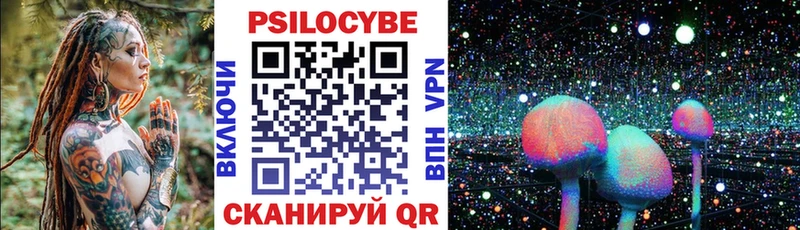 Купить  Катав-Ивановск  Псилоцибиновые грибы MAGIC MUSHROOMS 